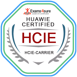 Huawei HCIE-Carrier IP (H31-162)