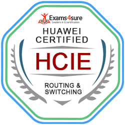Huawei HCIE-Routing & Switching (H12-262)